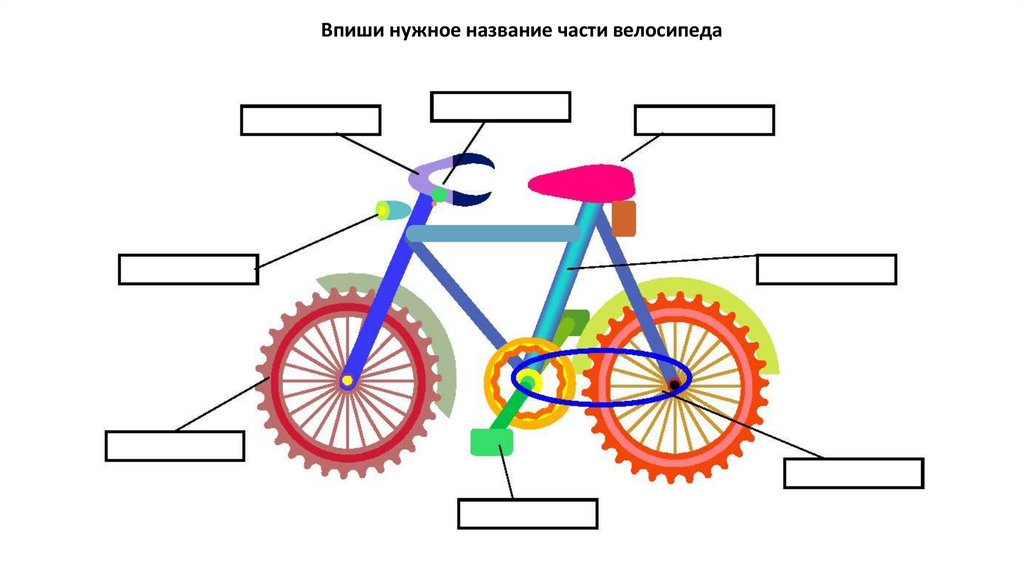 Устройство велосипеда картинка