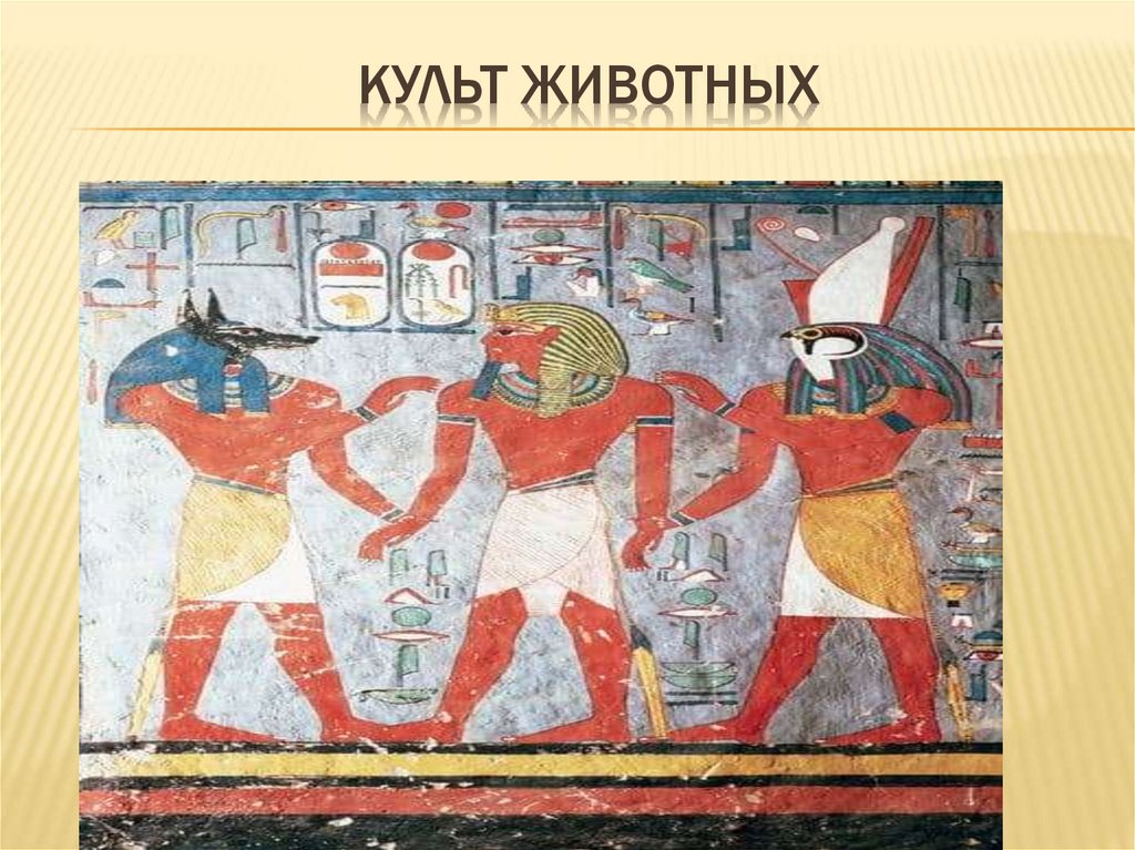 Культ животных