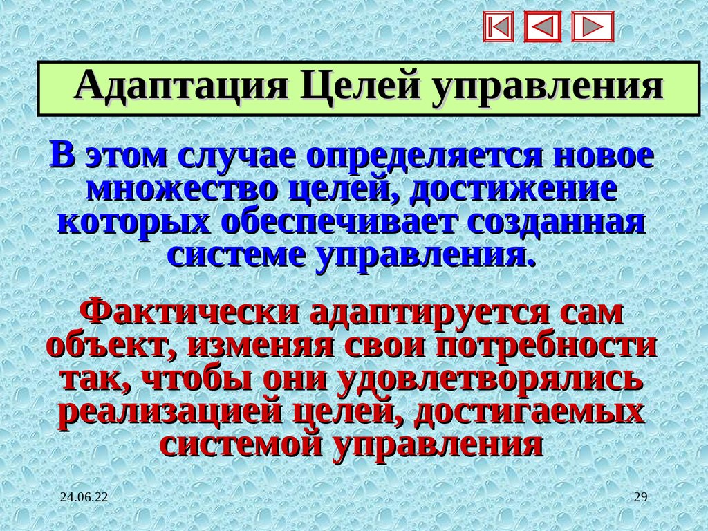 Адаптация Целей управления