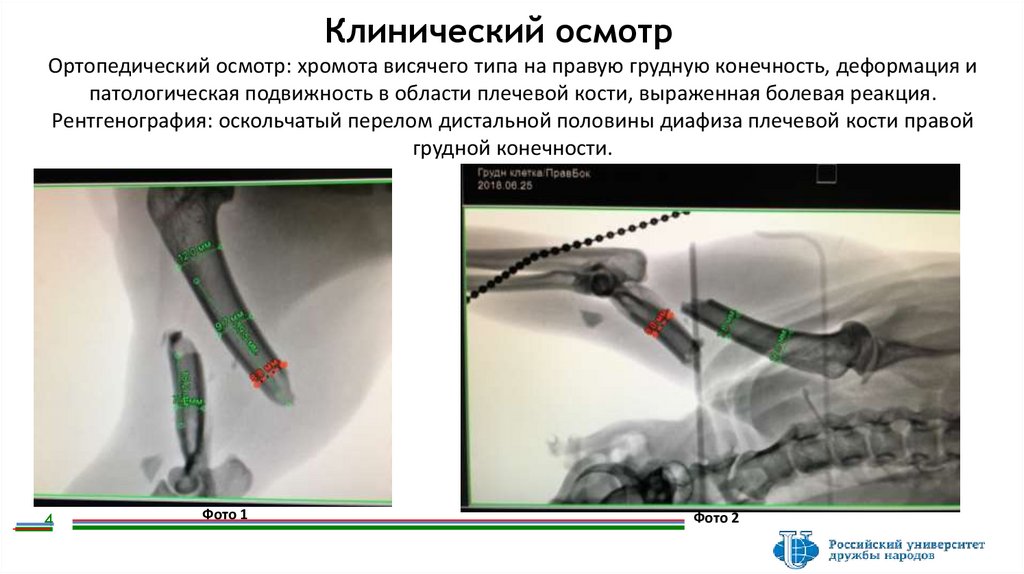 Клинический осмотр