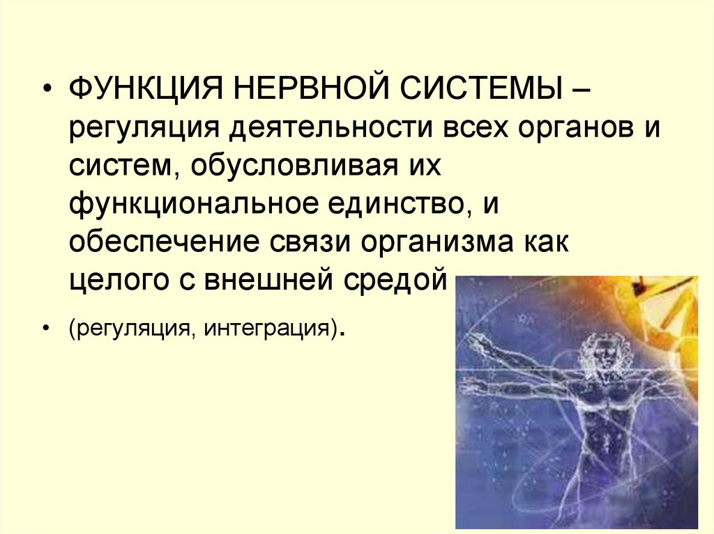 Выполняемые функции нервной. Функции нервной системы. Функции нервной системы регуляция всех систем органов. Функции нервной системы презентация. Обеспечивают регуляцию и интеграцию функций организма.