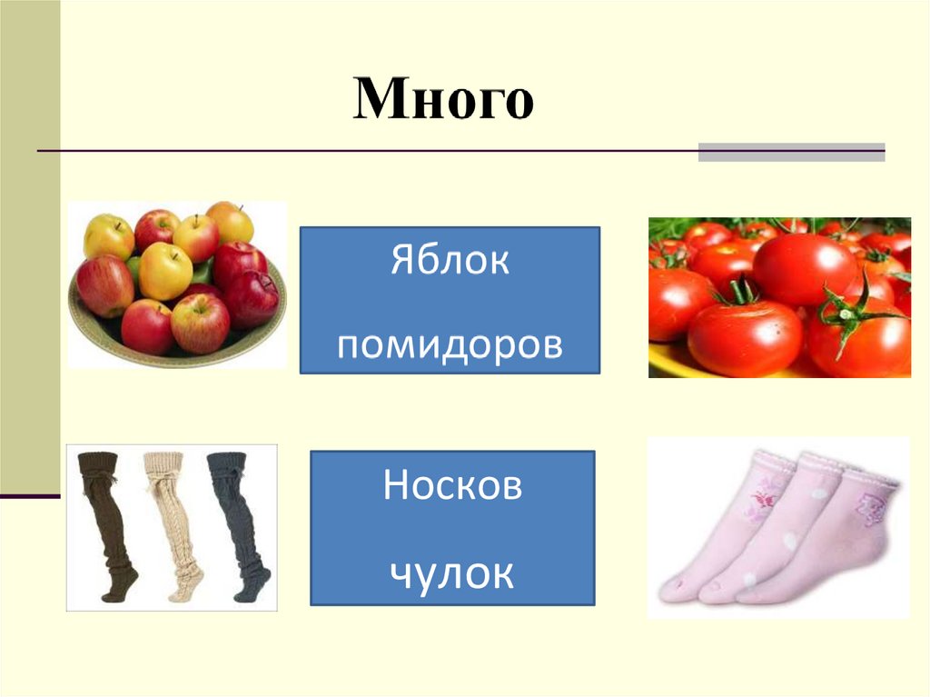 Ботинок мандарин чулок. Множественное число имён существительных 5 класс. Множественное число существительных в русском языке 5 класс. Число имён существительных 5 класс. Множественное число имён существительных.урок в 5 классе.