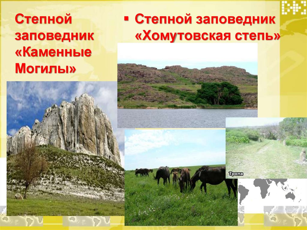 Степной заповедник «Каменные Могилы»