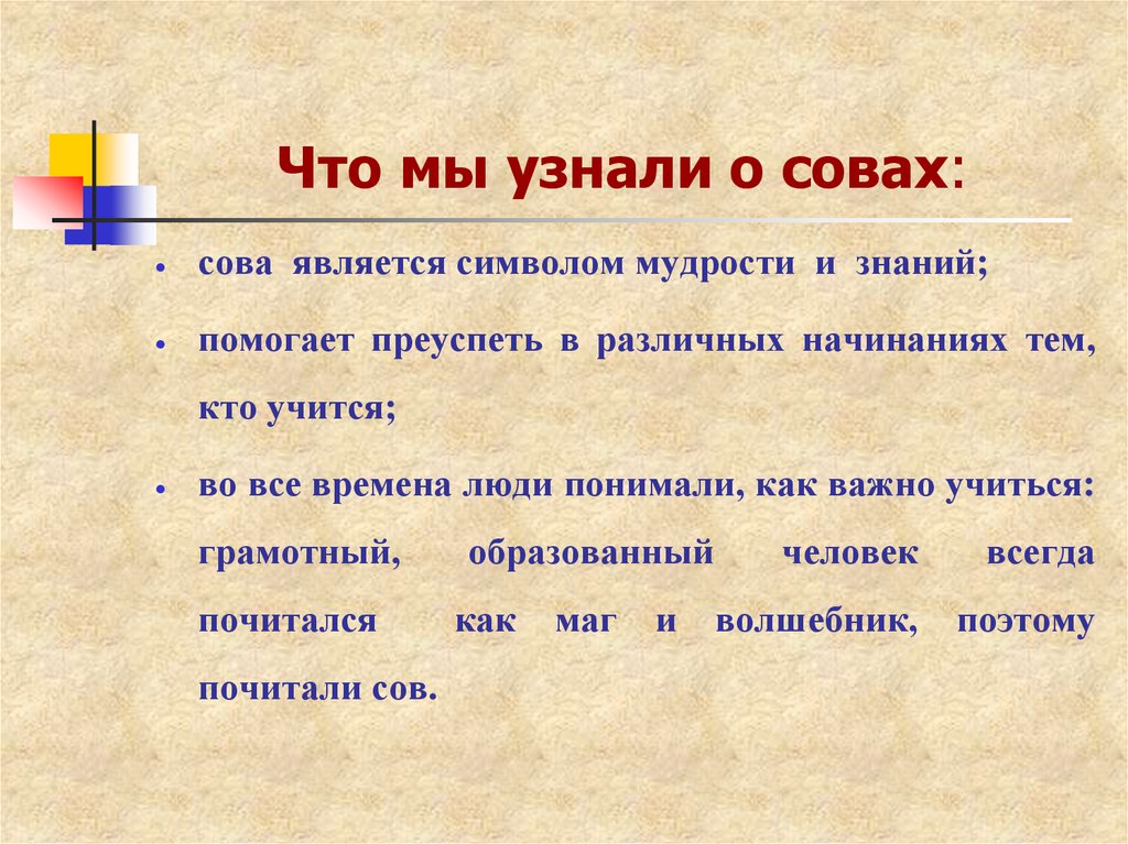 Что мы узнали о совах: