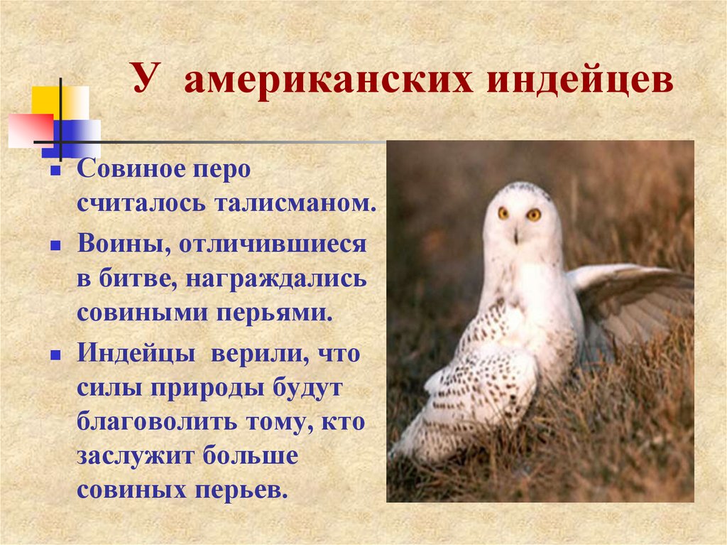 У американских индейцев