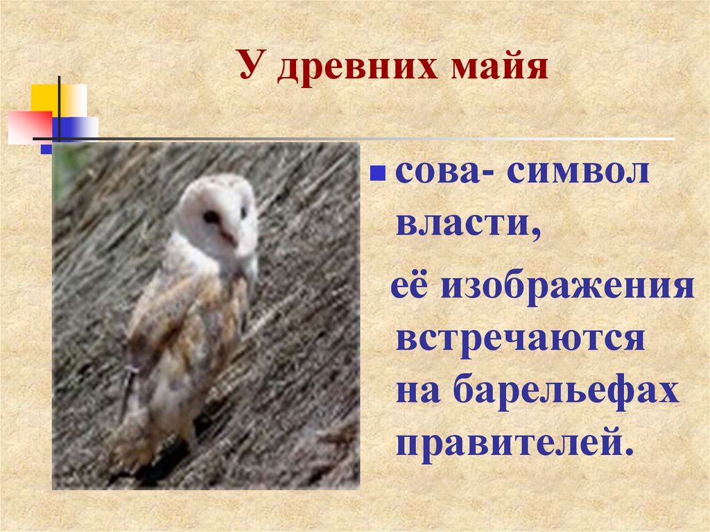 Что означает сова. Сова значение символа. Сова символ чего. Что символизирует Сова. Что значит символ Совы.