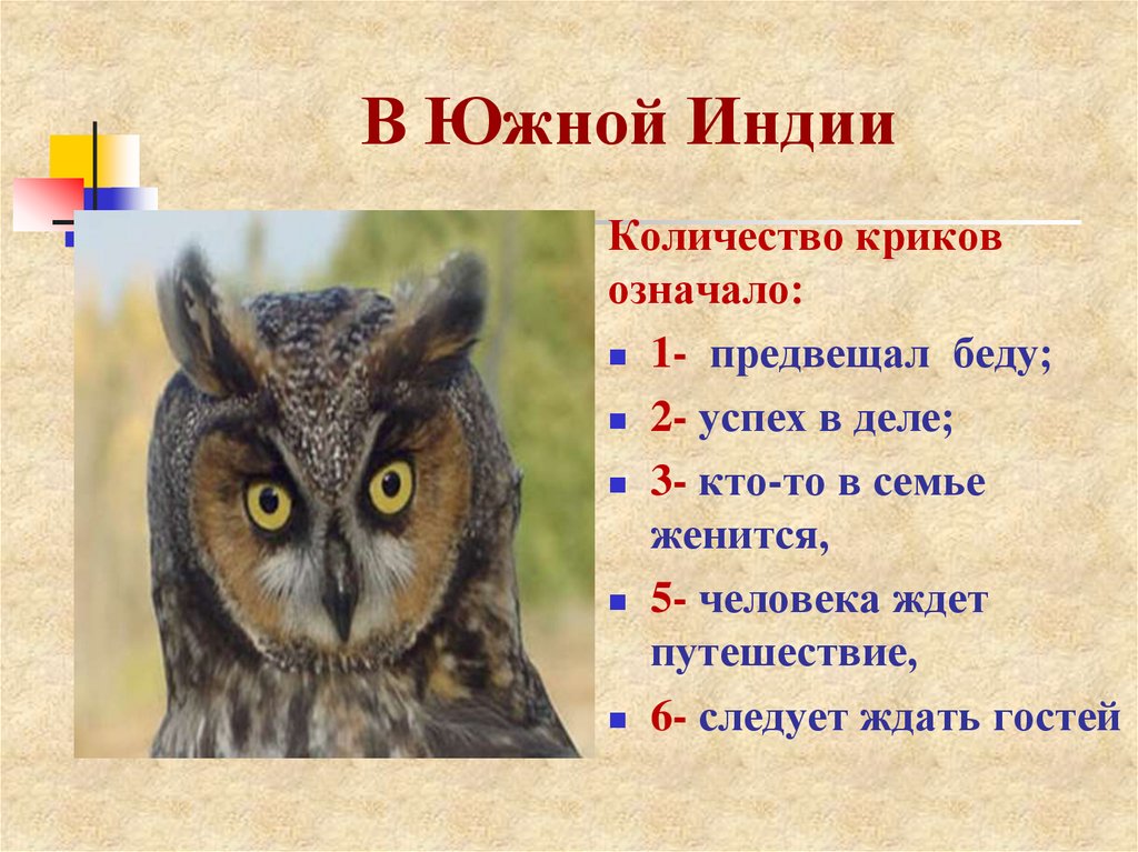 Что означает сова. Сова символ чего. Что символизирует Сова. Сова символ чего в доме. Филин символ чего.