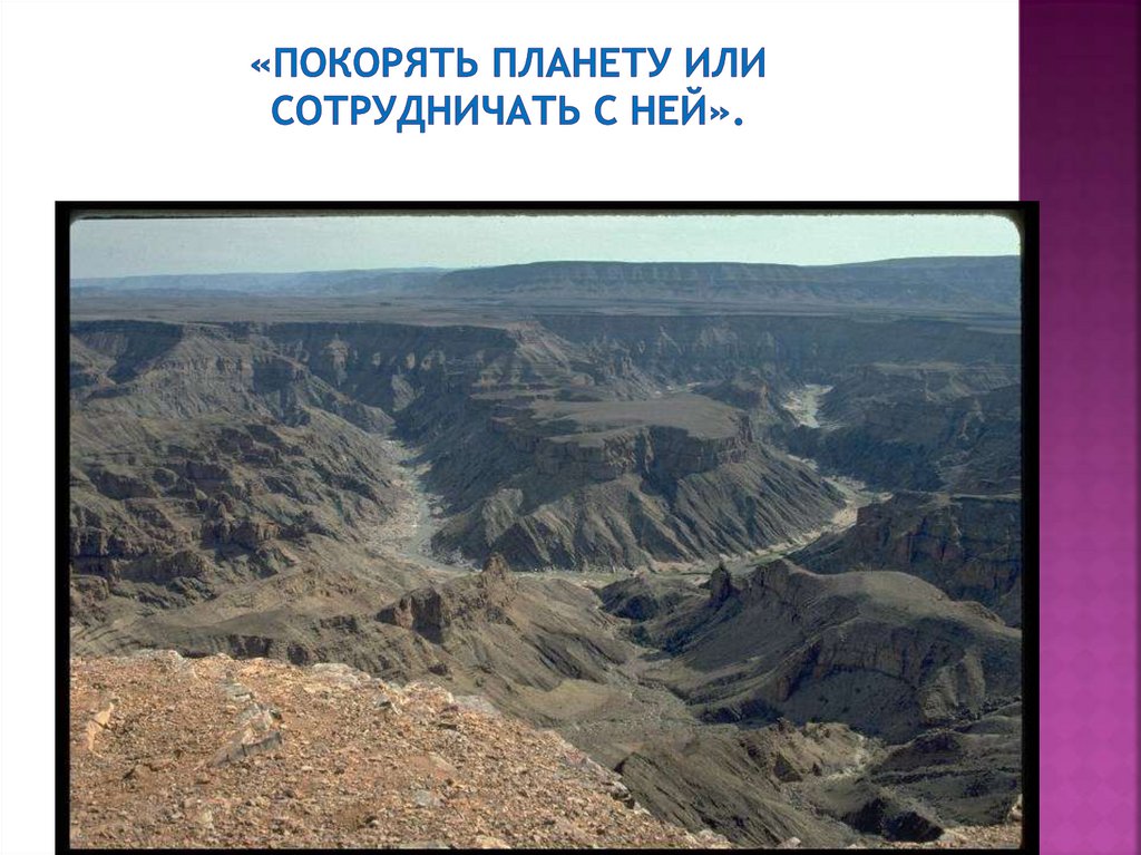 «Покорять планету или сотрудничать с ней».