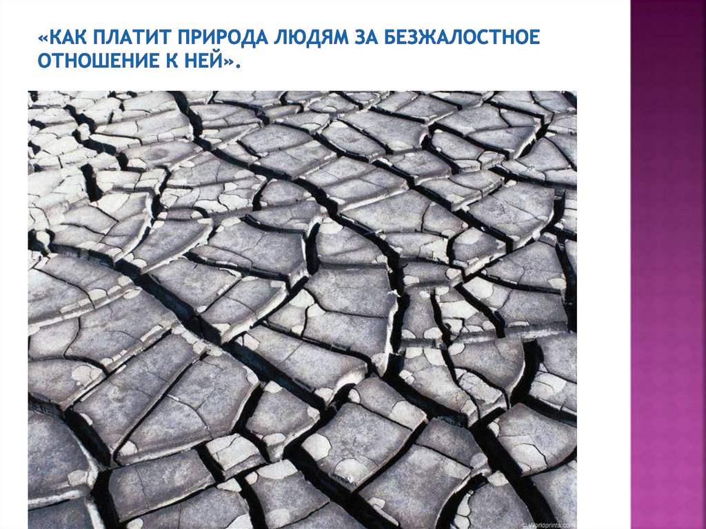 «Как платит природа людям за безжалостное отношение к ней».