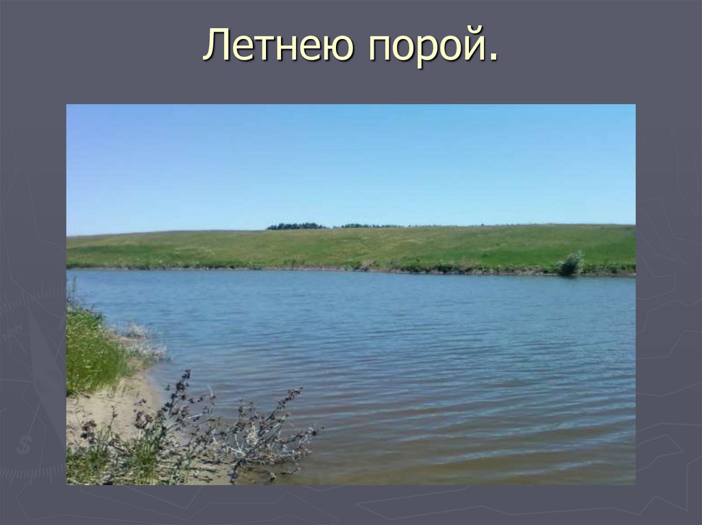 Летнею порой.