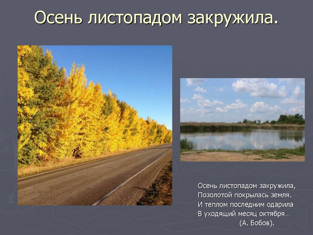 Осень листопадом закружила.