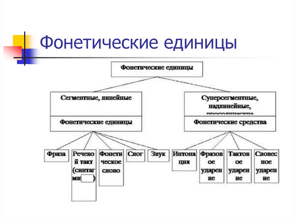 Структура единицы. Фонетика основные фонетические единицы. Фонетические единицы соотношение буквы и звука. Суперсегментные супрасегментные фонетические единицы. 8. Фонетические единицы. Соотношение буквы и звука..