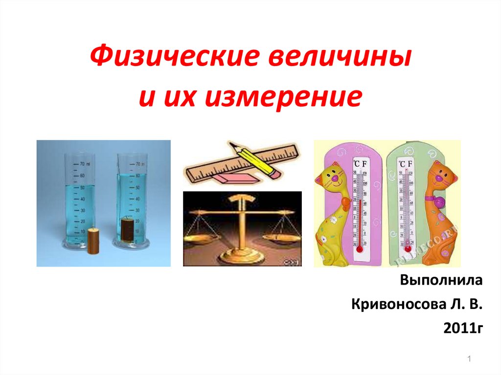 Измерение физических характеристик домашних животных презентация