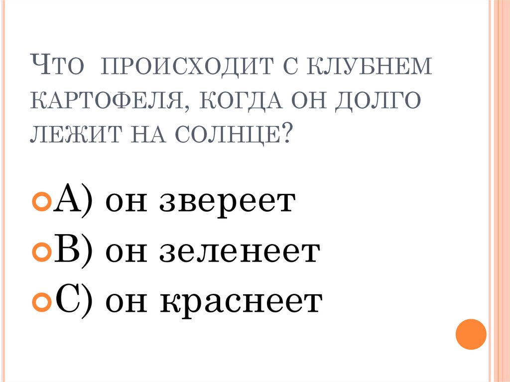 Что происходит с клубнем картофеля, когда он долго лежит на солнце?