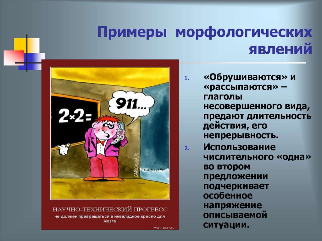 Примеры морфологических явлений