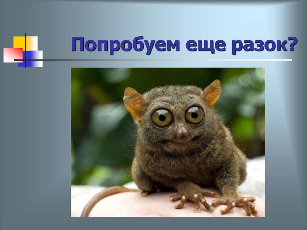 Попробуем еще разок?