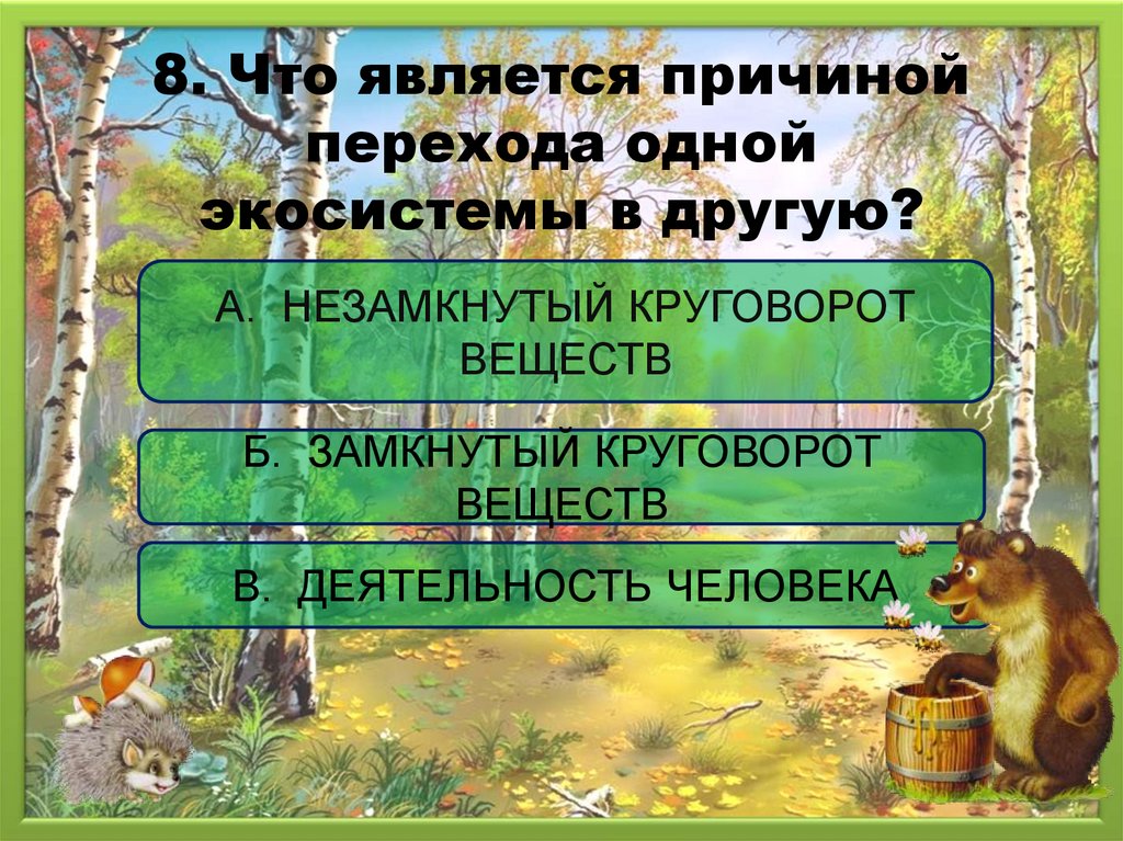 Проверочная работа лес. Лес как экологическая система календарное планирование.