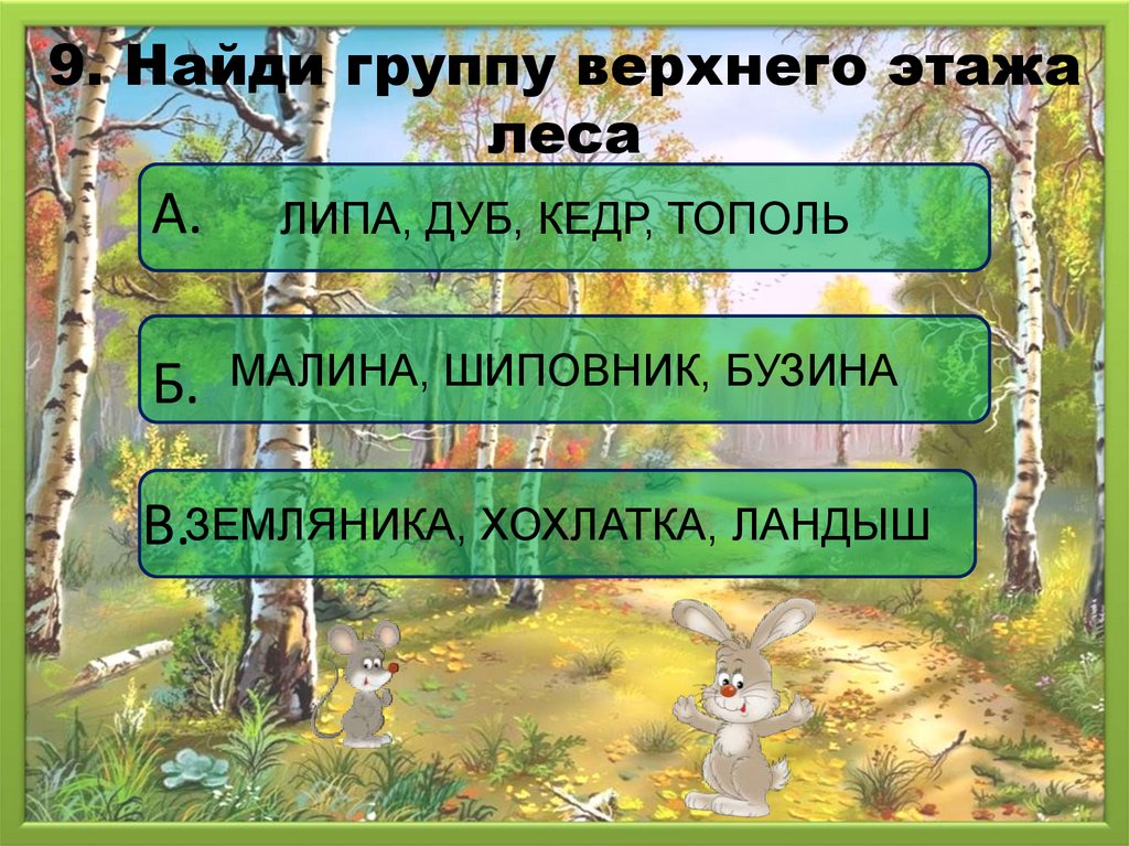 Бывать окружить. Экологические проблемы лесных зон. Экологические проблемы Лесной зоны связаны. Проблемы зоны лесов. Экологические проблемы лесных зон знаки.