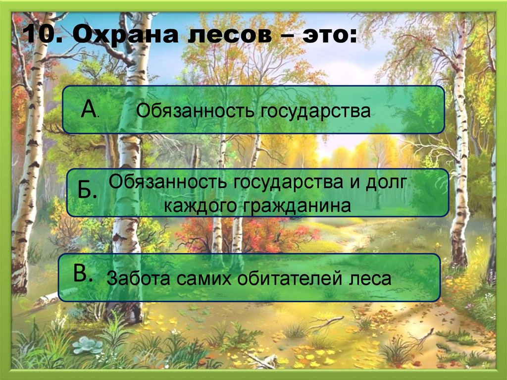 Тест по окружающему миру лес и человек. Охрана леса. Охрана леса человеком проект. Охрана леса 3 класс. Охрана леса 4 класс.