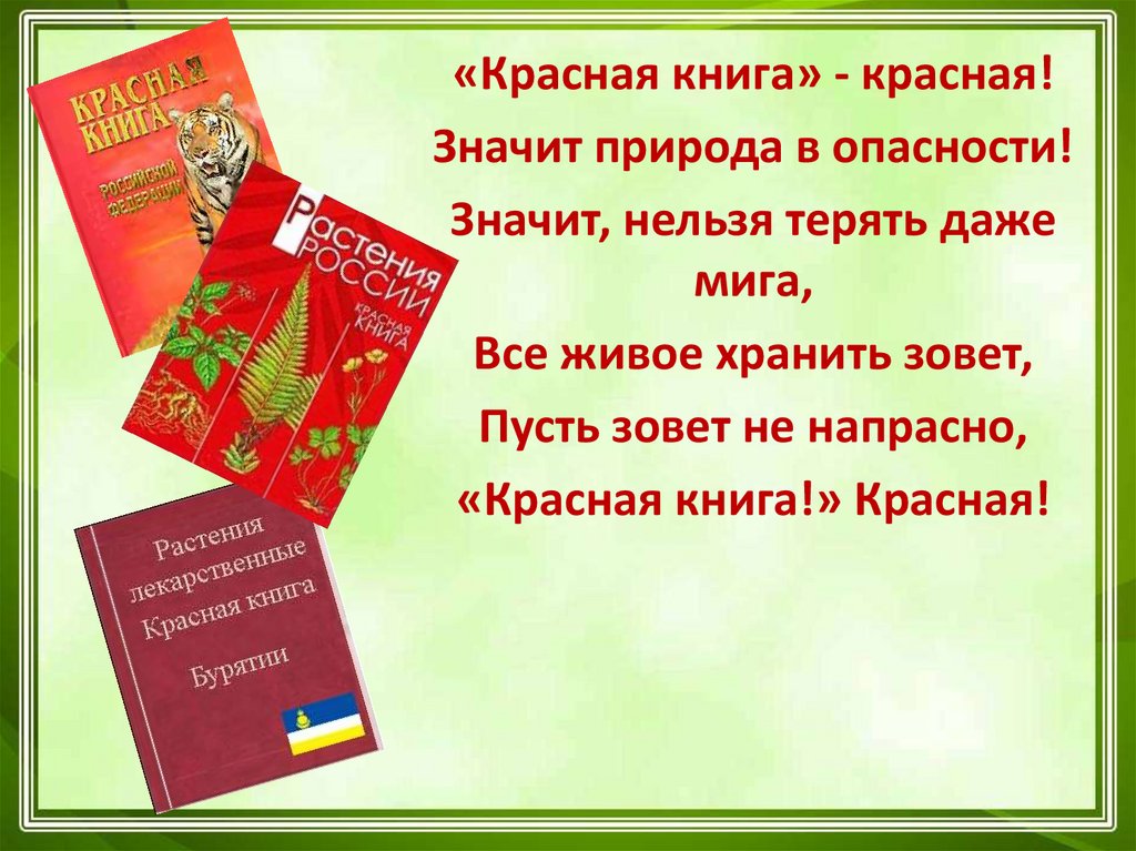 Что означает красная книга