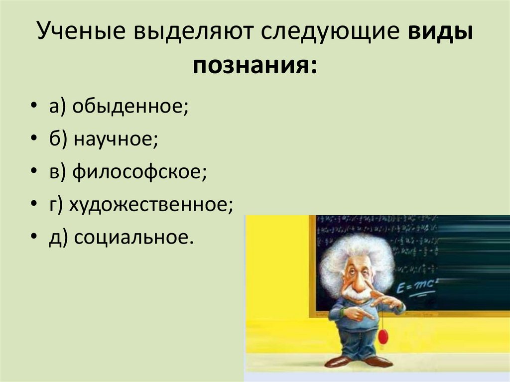 На уроке обществознания школьники изучали формы познания