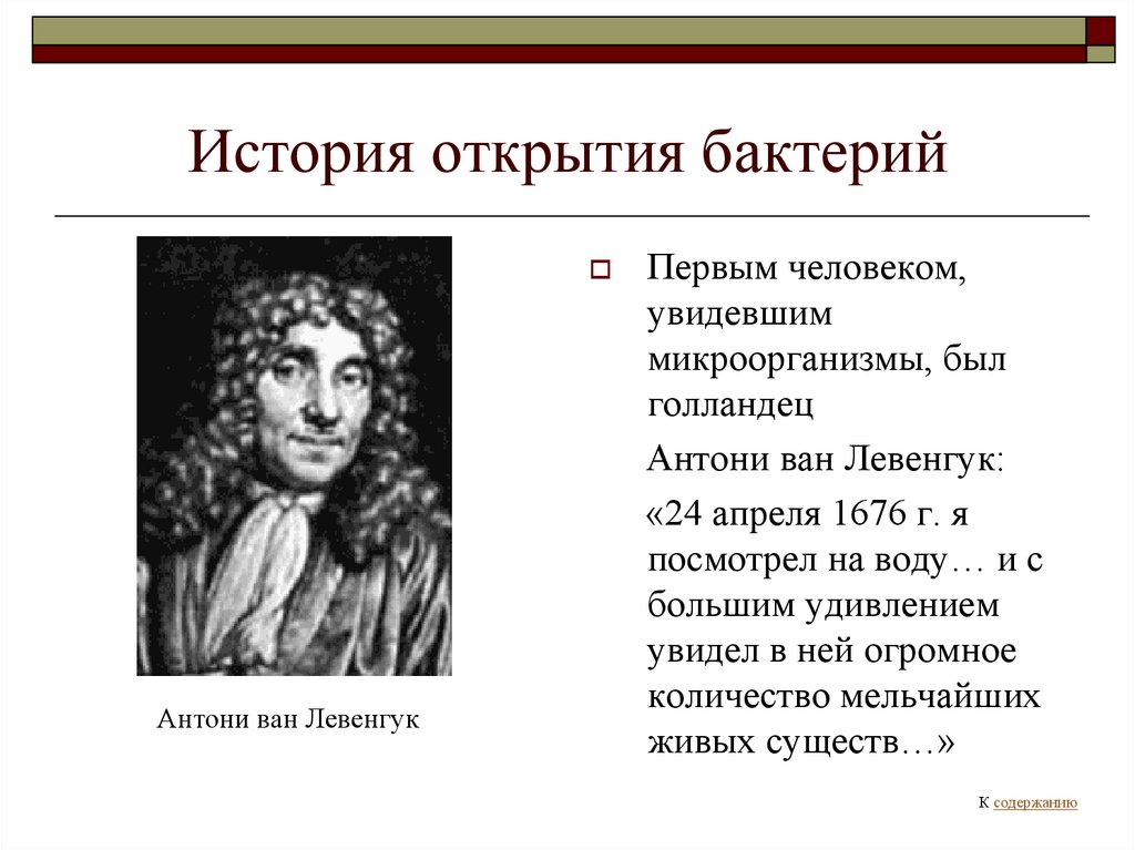 Кто первый открыл. Антони Левенгук открытия. Антони Левенгук вклад в биологию. Антони Ван Левенгук открыл микробов. Антонио Ван Левенгук его открытия.