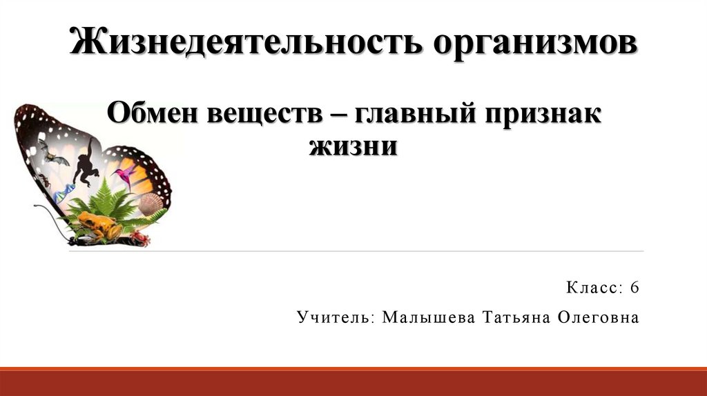 Жизнедеятельность организмов 6 класс презентация