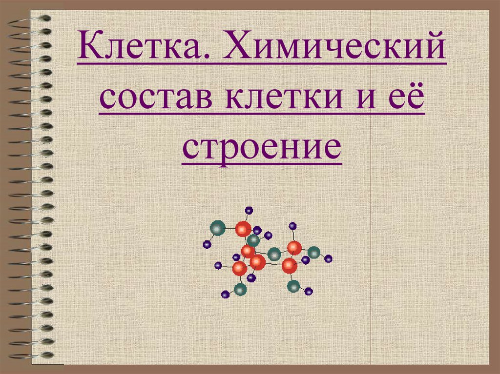 Строение и химический состав клетки. Химия клетки. Электронные клеточки химия. Клетка хим товаров.