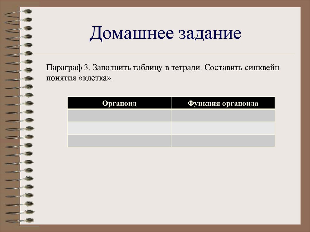Домашнее задание