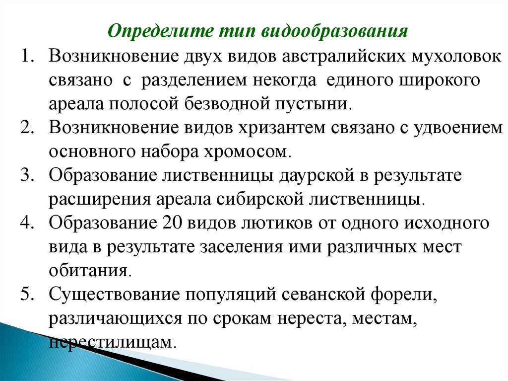 Современные представления о видообразовании презентация