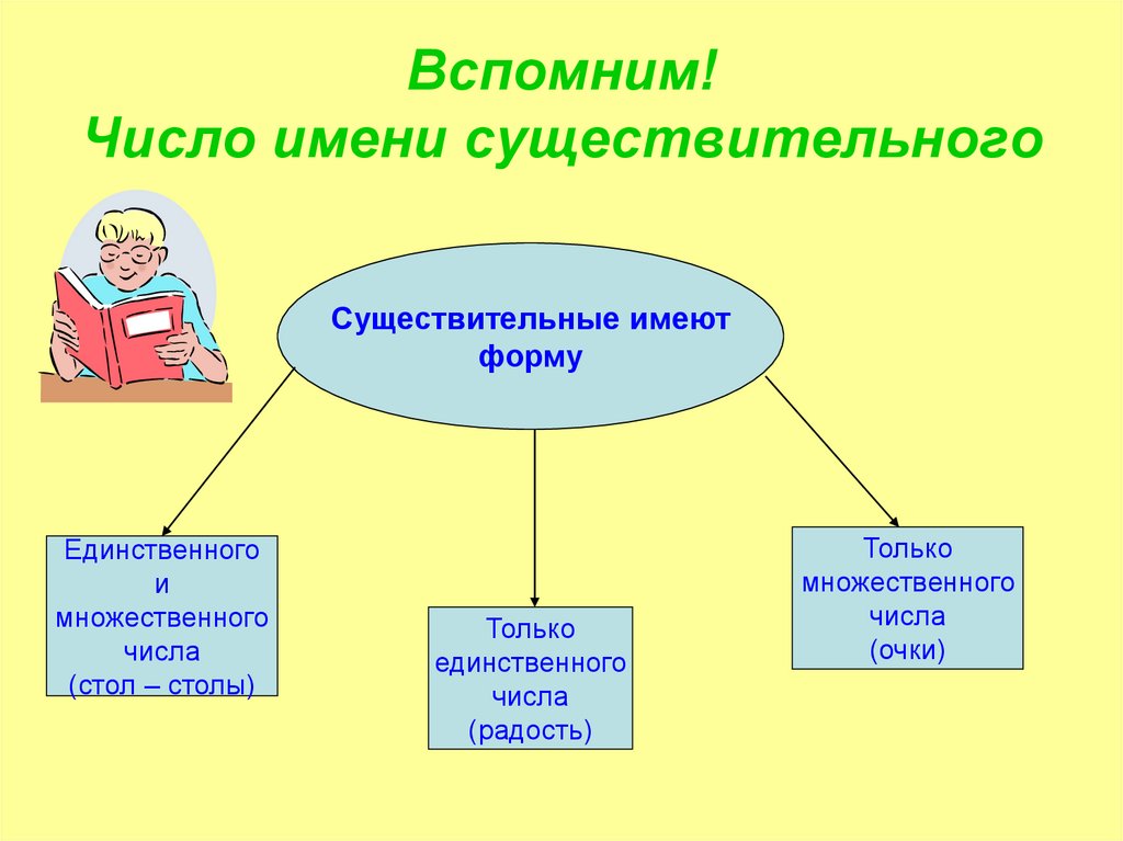 Измени форму числа имен существительных стол