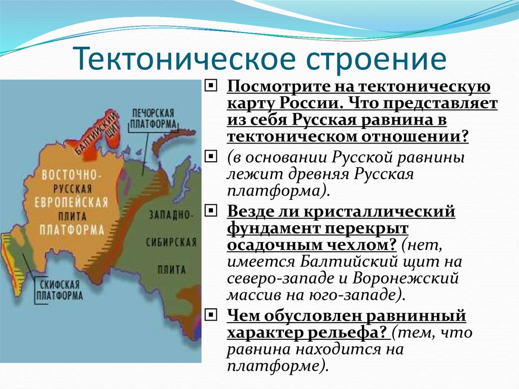 К какой тектонической структуре приурочен. Геологическое строение Восточно европейской равнины. Основные тектонические структуры на территории России. Тиктониническое строение. Тектоническое строение.