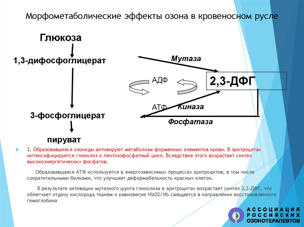 Срок годности на озон