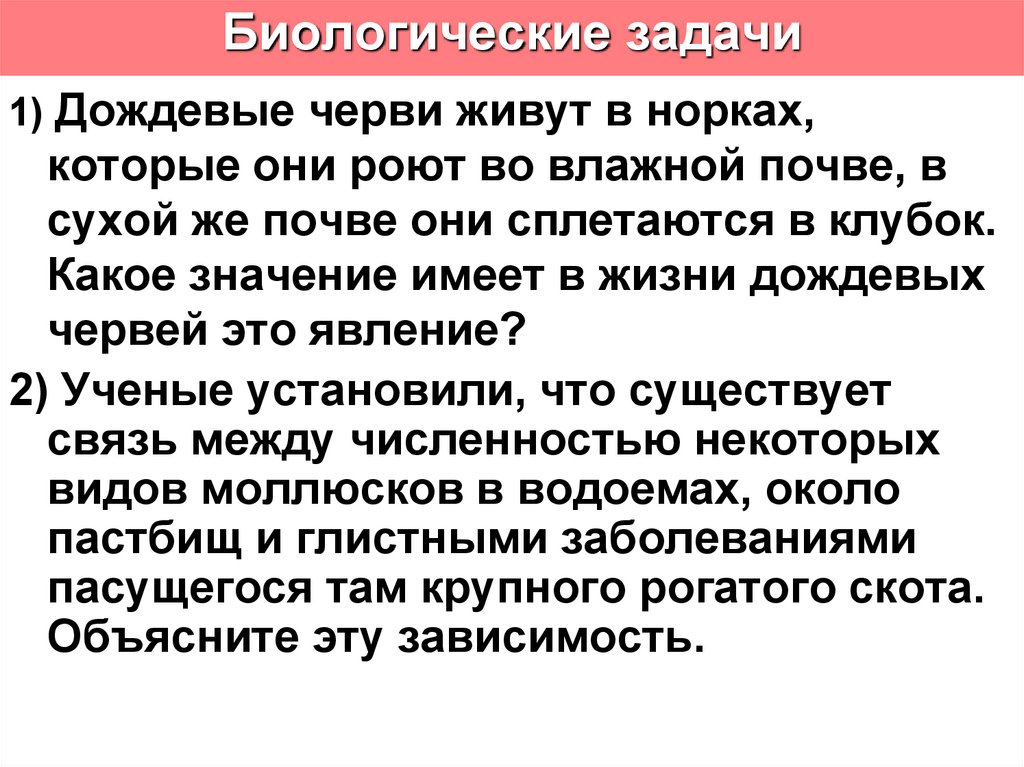 Строение биологическая активность