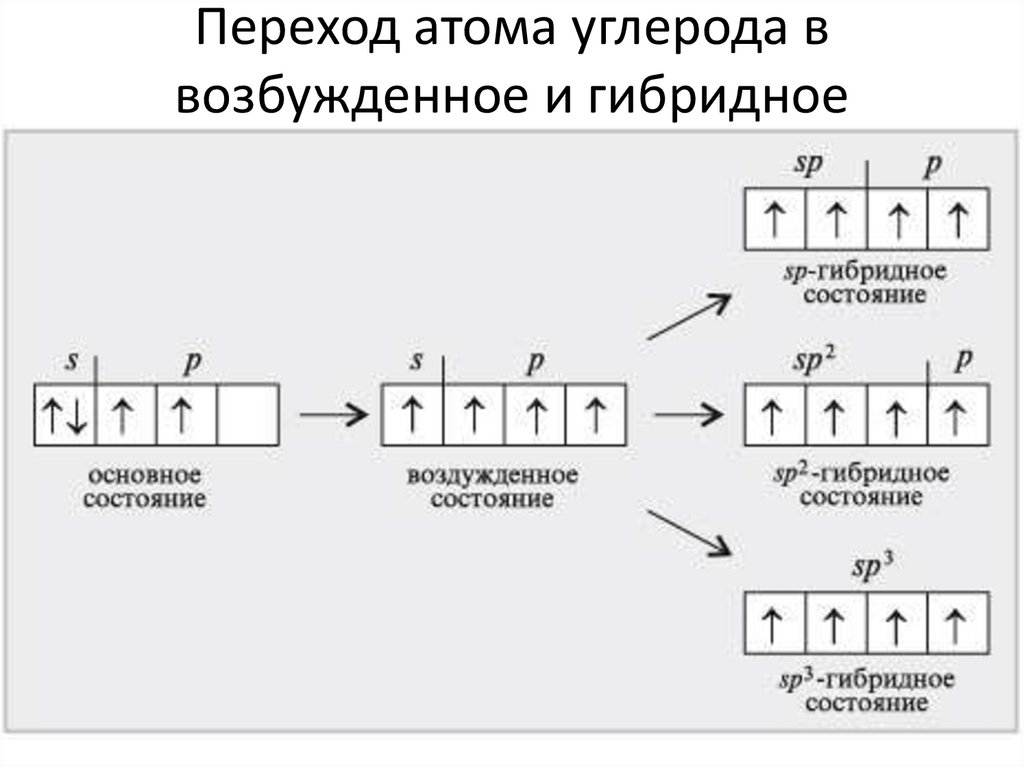 Три первичных атома углерода. Гибридное состояние атомов углерода. Основное и возбужденное состояние атомов. Гибридизация атомов углерода. Типы гибридизации атома углерода.