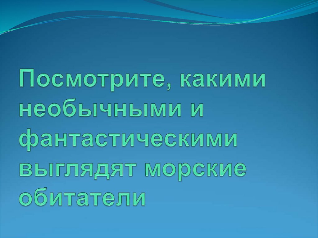 Посмотрите, какими необычными и фантастическими выглядят морские обитатели
