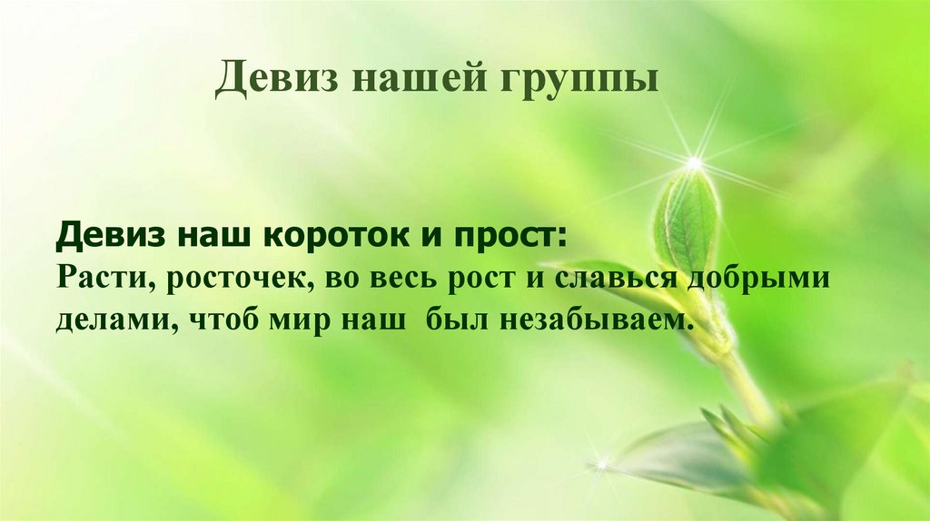 Девиз нашей группы