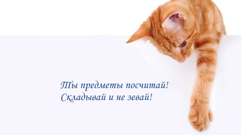 Ты предметы посчитай! Складывай и не зевай!