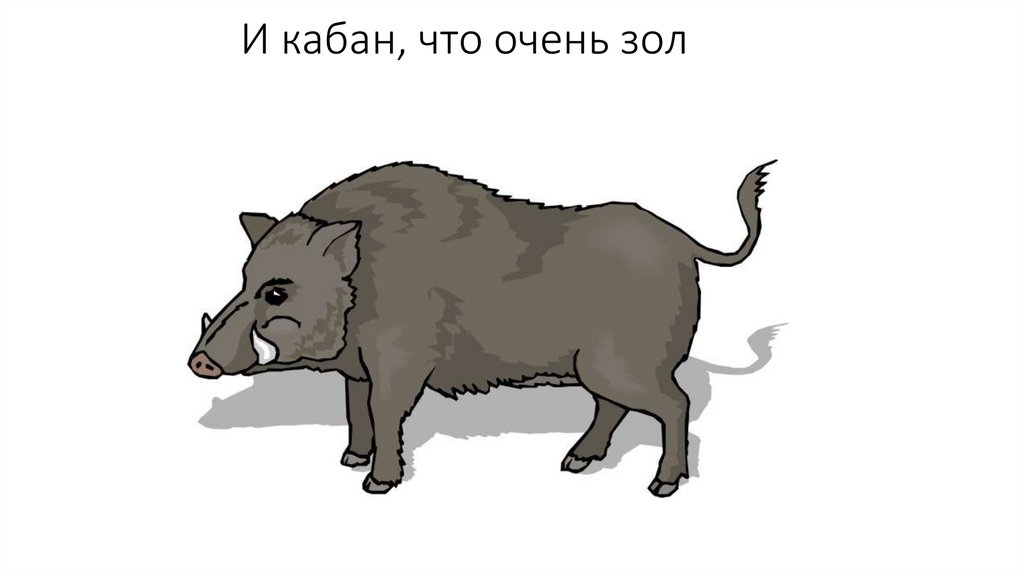 И кабан, что очень зол