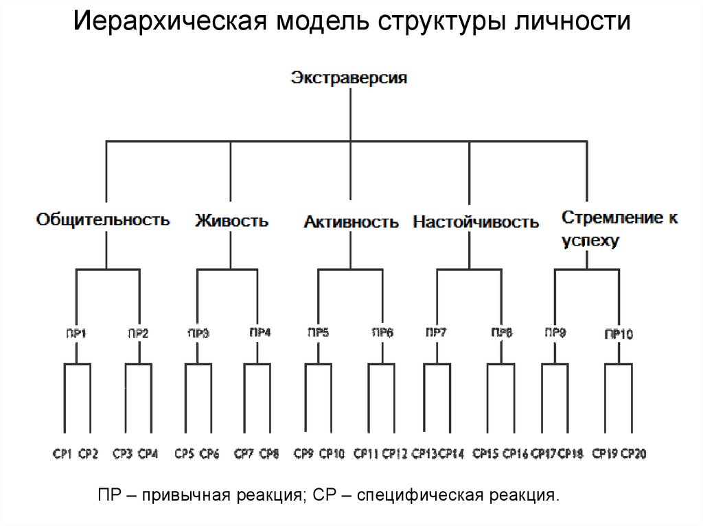 Иерархическая модель структуры личности