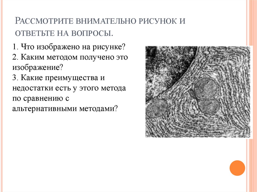 Что изображено на рисунке каким методом. Что изображено на рисунке?. Каким методом получено это изображение. Какие методы изображение на рисунке. Что изображено на рисунке каким методом получено это изображение.