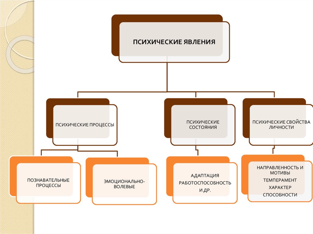 Специальные отрасли