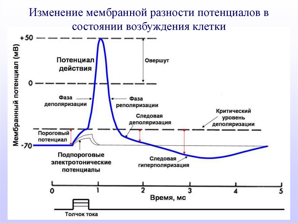 Все или ничего схема