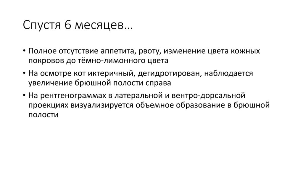 Спустя 6 месяцев…