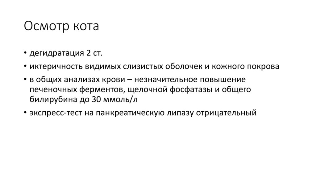 Осмотр кота