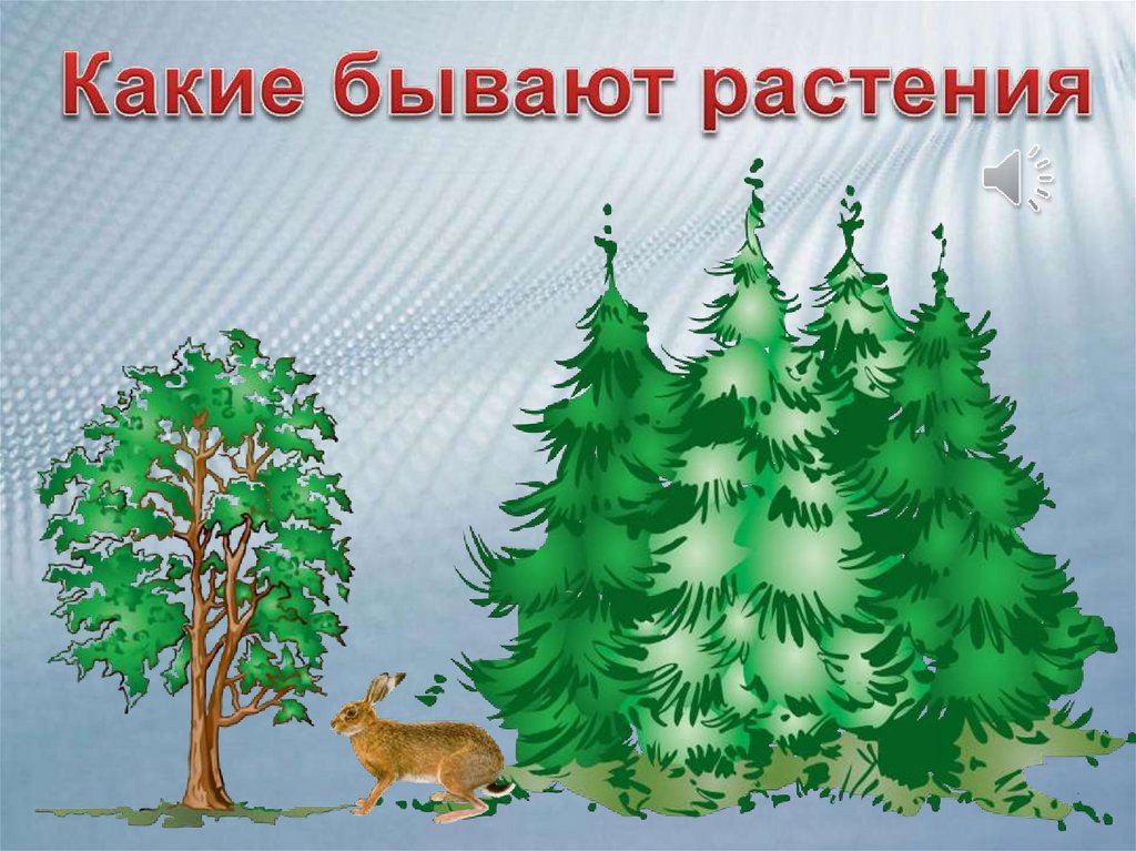 Презентация на тему какие бывают растения 2 класс школа россии