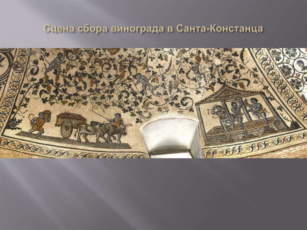 Сцена сбора винограда в Санта-Констанца