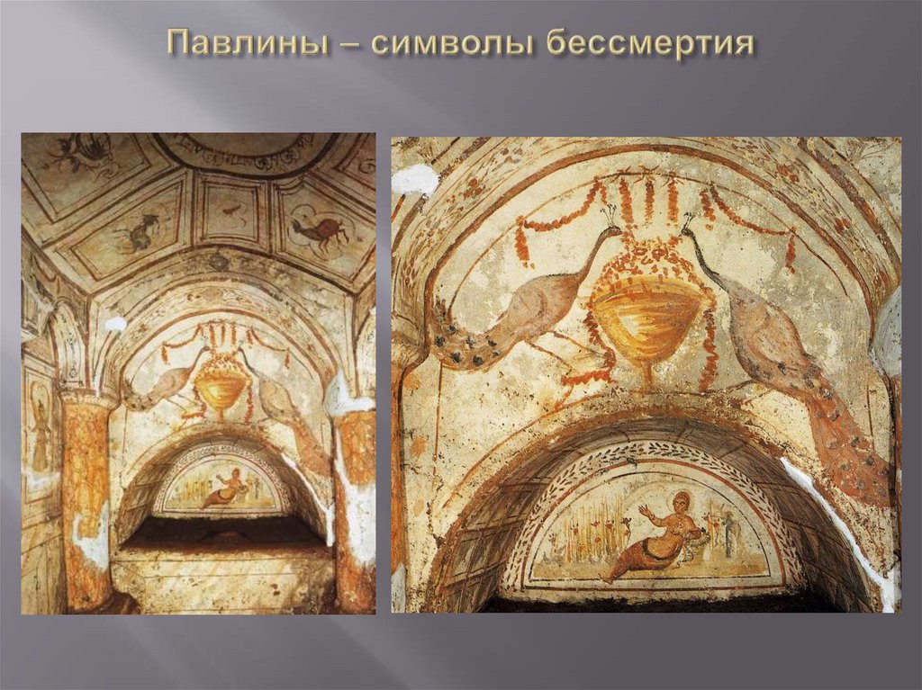 Павлины – символы бессмертия