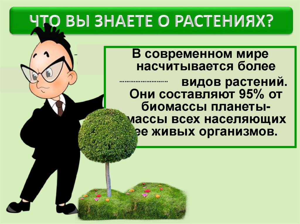 Насчитывается более. Характеристика царства растений 5 класс биология презентация. Растения 5 класс биология презентация. Характеристика царства растения 5 класс презентация. Доклад развитие бизнеса растения 5 класс.