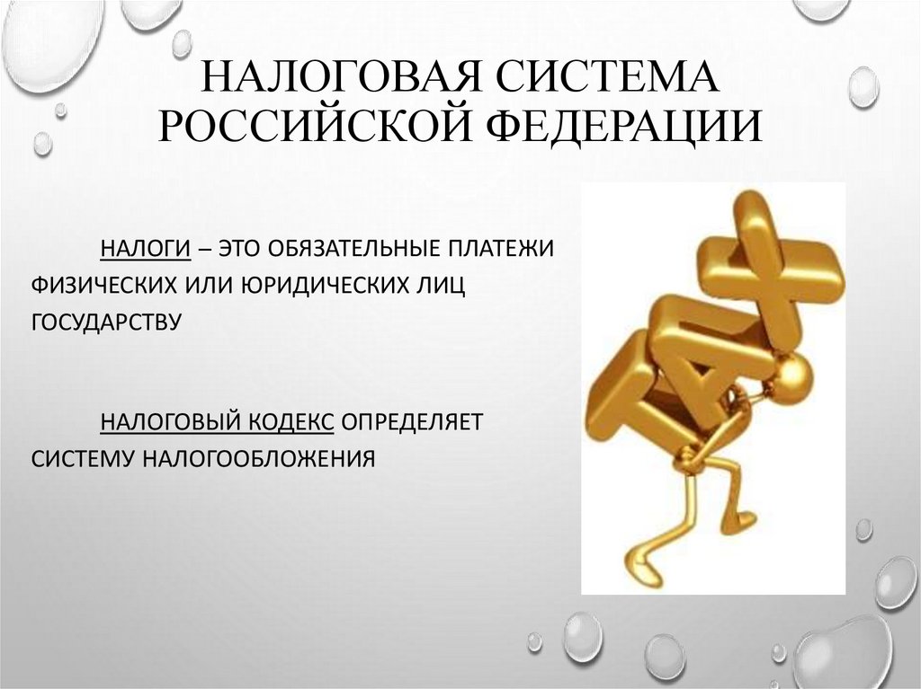 Налоговая система Российской Федерации